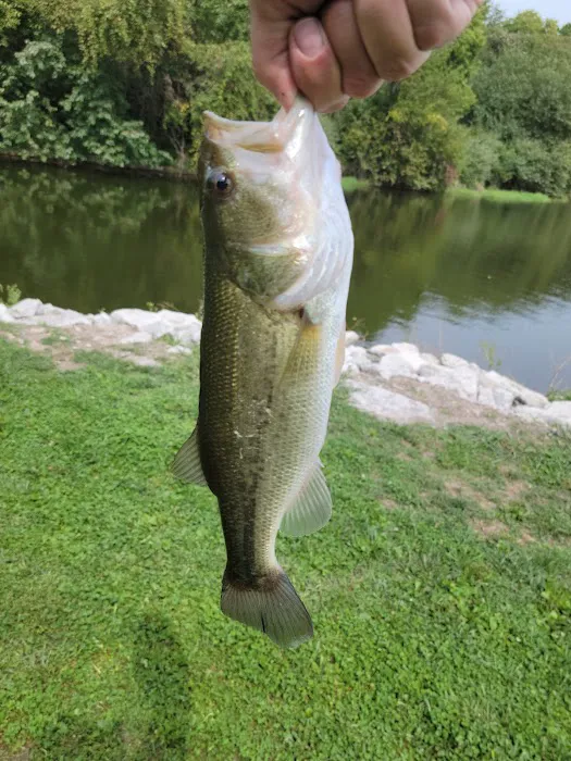Viking Lake State Park Campground 7