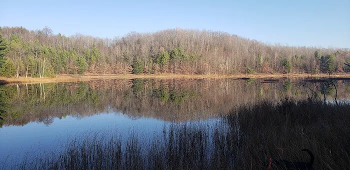 Long Lake (Missaukee) State Forest Campground 3