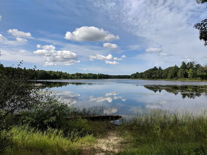 Goose Lake State Forest Campground 6