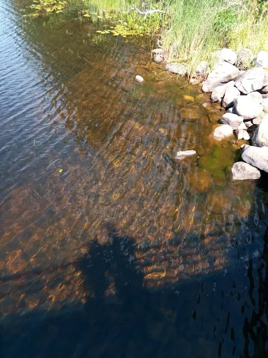 Reedsburg Dam State Forest Campground 6