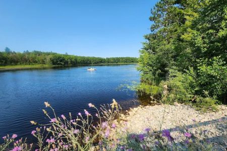 Reedsburg Dam State Forest Campground