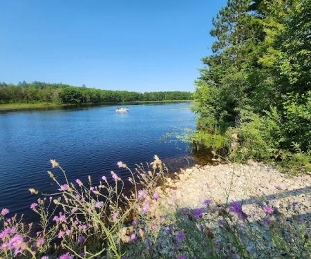 Reedsburg Dam State Forest Campground