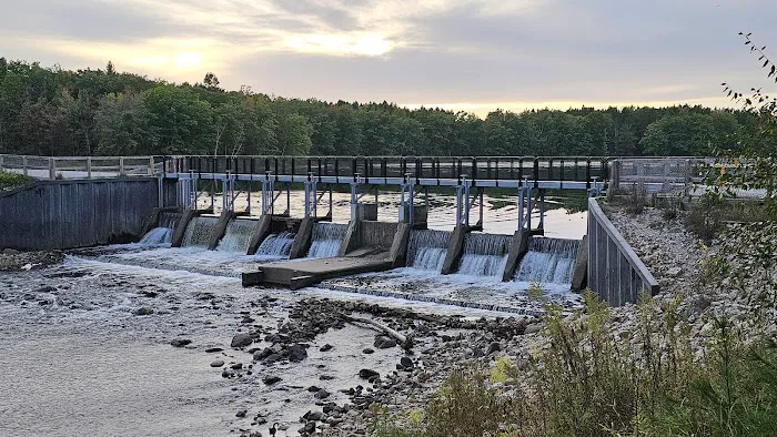 Reedsburg Dam State Forest Campground 4