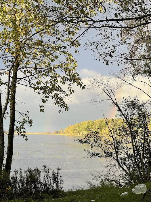 Reedsburg Dam State Forest Campground 8