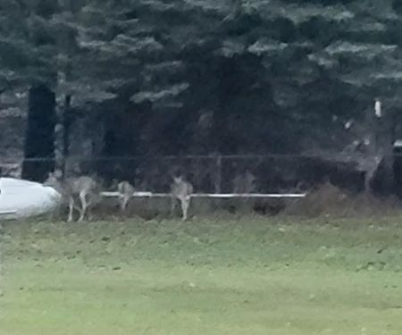 Artesia Beach Campground and Marina