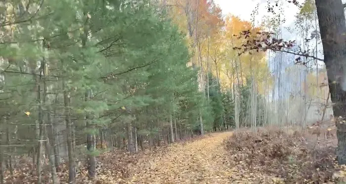 Woodlands Acres Campground 5