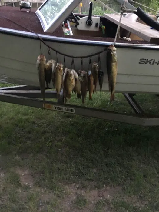 Burton's Trailer Park 7