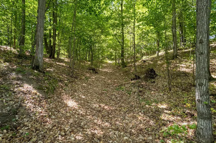 Bear Woods Resort 7