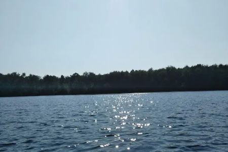 Healy Lake State Forest Campground