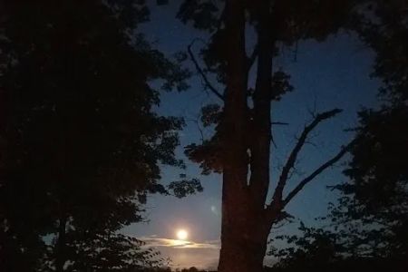 Fletcher Creek Rustic Campground