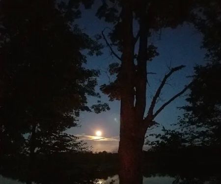 Fletcher Creek Rustic Campground