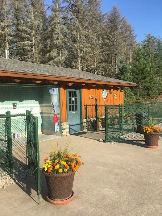 Spruce Hollow Campground 8