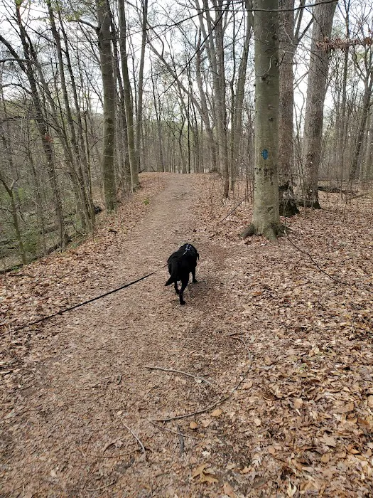 A.W. Marion State Park Campground 10