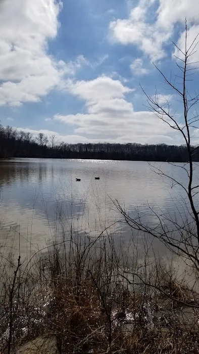 A.W. Marion State Park Campground 2