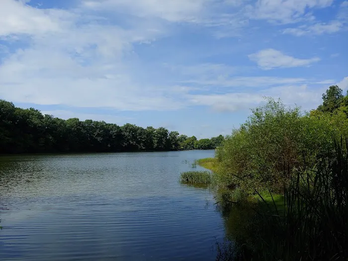 A.W. Marion State Park Campground 3