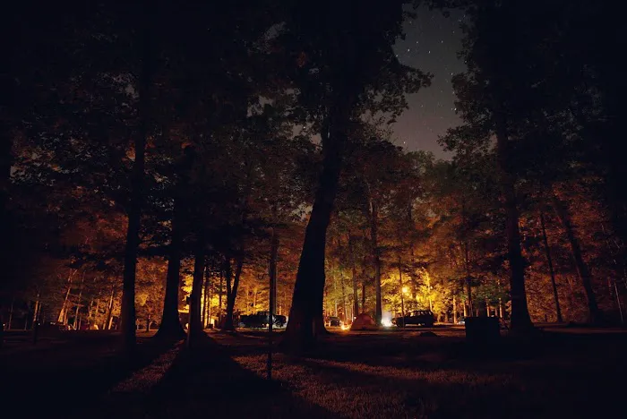 A.W. Marion State Park Campground 1