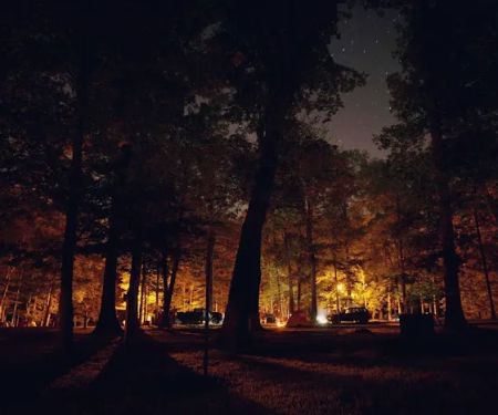 A.W. Marion State Park Campground