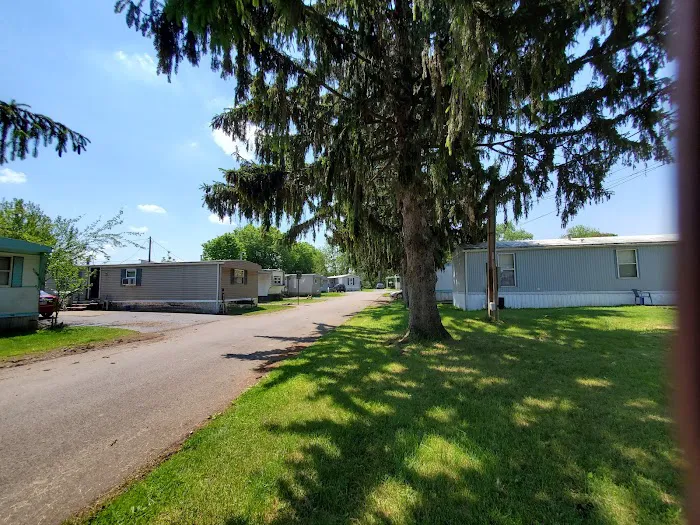 The Pines Mobile Home Park 4