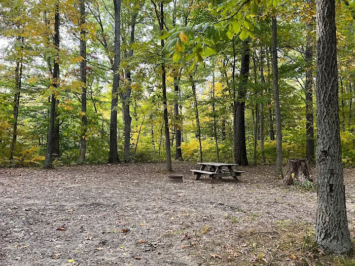 Jackson Lake Campground & Park 7
