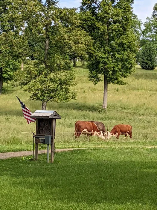 Turkey Hollow Campground 4