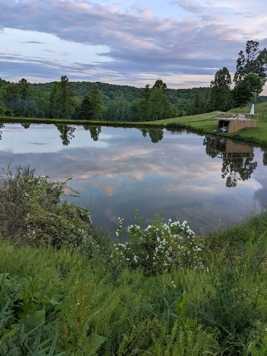 Turkey Hollow Campground 5
