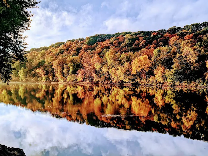 Miller's Landing Campground 1