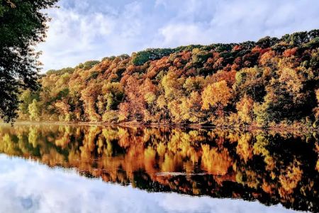 Miller's Landing Campground