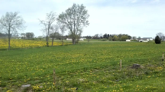 Caskeys Campground 3