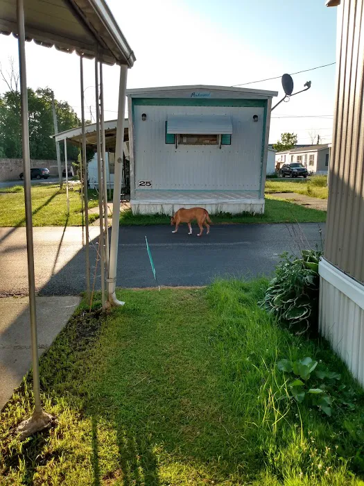 Parma Estates Mobile Home Community 8