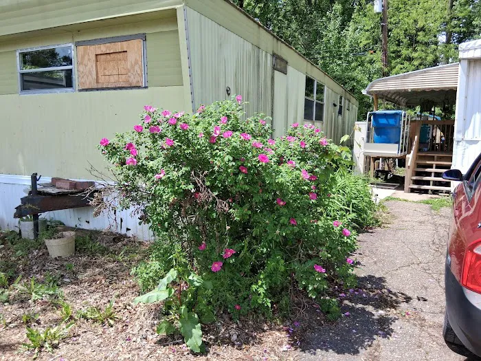 Lakeside Mobile Home Park 1