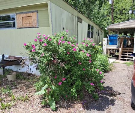 Lakeside Mobile Home Park