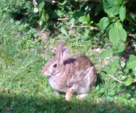 Nimisila Senior Estates