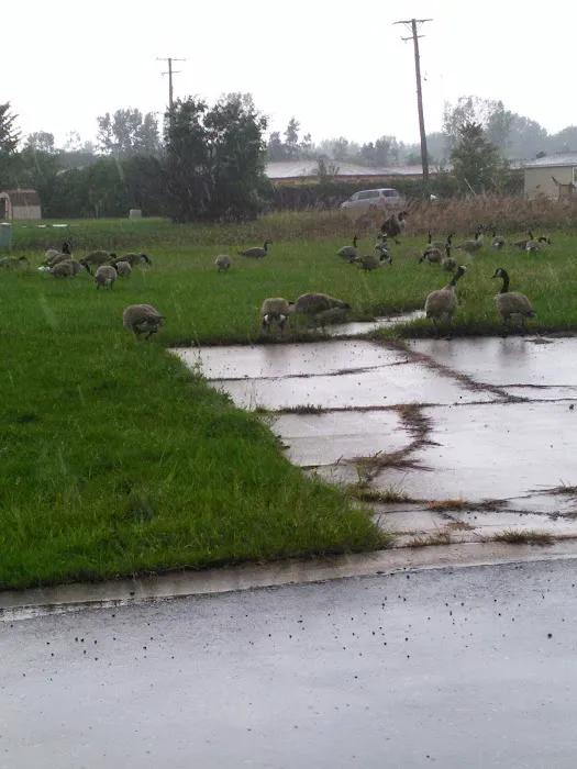 Windsor Farms 4