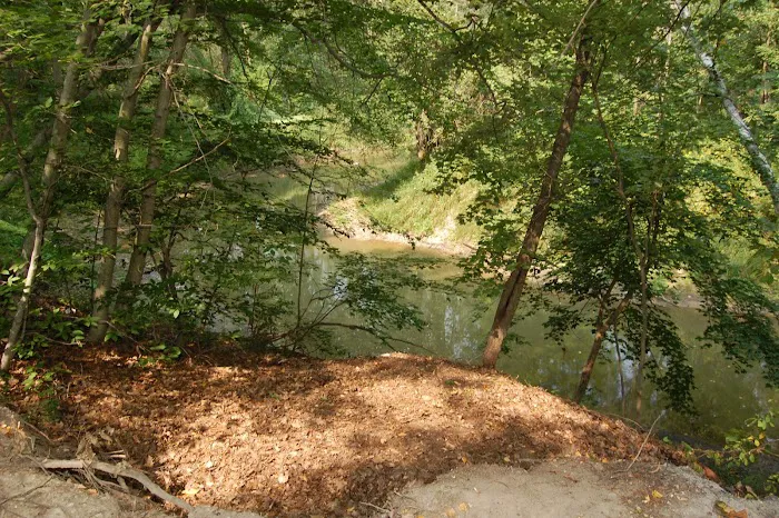 Thousand Trails St. Clair 8