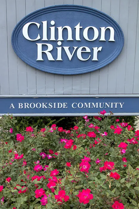 Clinton River 8