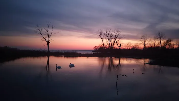 Lake St Clair Metropark campgrounds 2