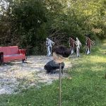Kinner Camping
