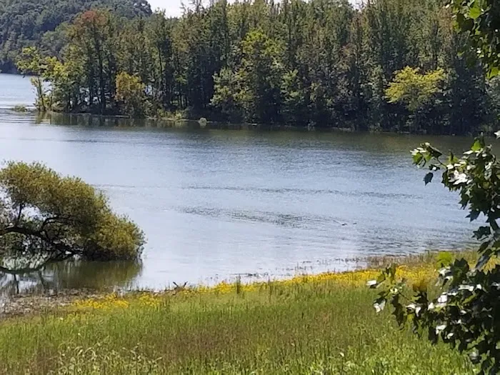 BRWSC 9