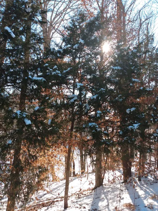 US Campgrounds 10