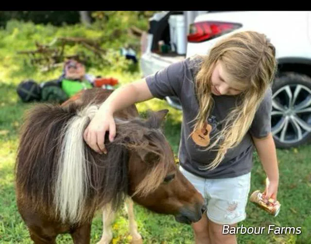 Barbour Farms 10