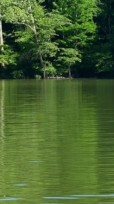 Rushing Bay Camp Spot 1