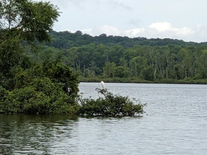 Bumpus Mills Campground 3