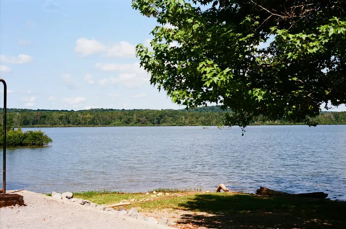 Bumpus Mills Campground 9