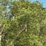 Lake Haven RV Park