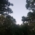 Cypress Cove RV Park