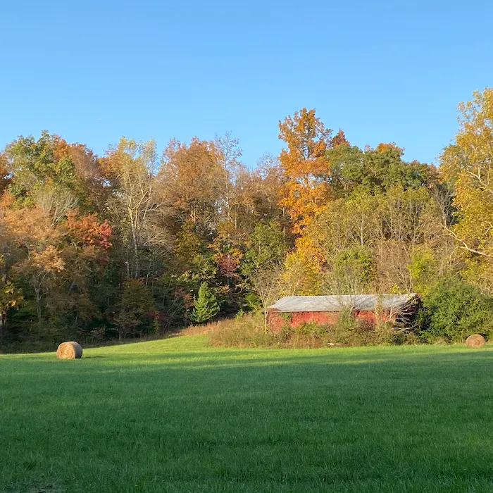 Eagle's Nest RV Park 9