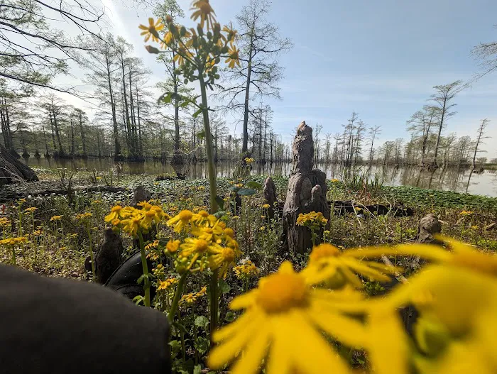 Horseshoe Lake State Fish & Wildlife Area-West Campground 5