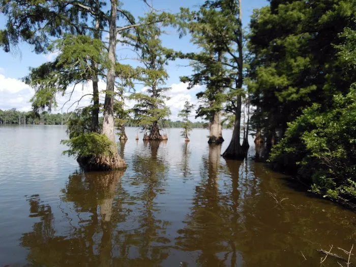 Horseshoe Lake State Fish & Wildlife Area-West Campground 2