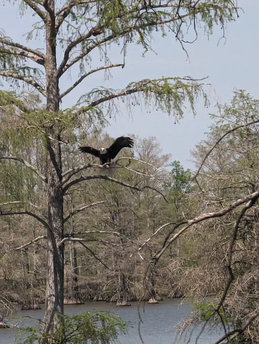 Horseshoe Lake State Fish & Wildlife Area-West Campground 9
