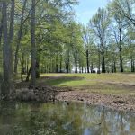 Horseshoe Lake State Fish & Wildlife Area-West Campground